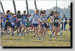 20090222CP005.jpg
