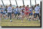 20090222CP006.jpg

