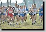 20090222CP176.jpg
