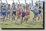 20090222CP178.jpg
