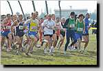20090222CP180.jpg
