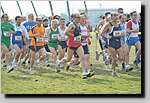 20090222CP181.jpg
