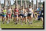 20090222CP568.jpg
