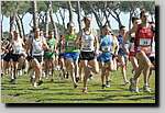 20090222CP570.jpg

