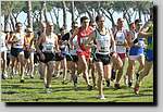 20090222CP571.jpg

