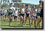 20090222CP578.jpg

