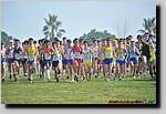20090315CP1065.jpg
