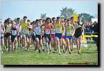 20090315CP1067.jpg
