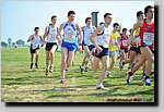 20090315CP1078.jpg
