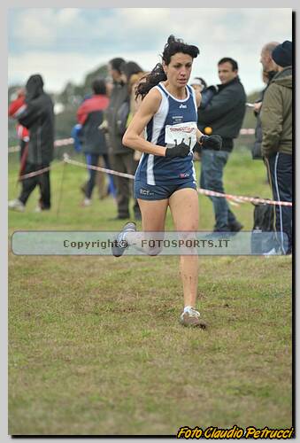 
20090125CP310.jpg
