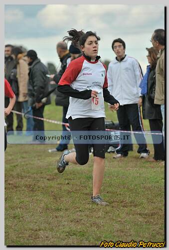 
20090125CP347.jpg