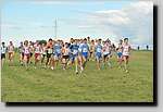 20090125CP460.jpg

