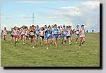20090125CP461.jpg
