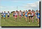 20090125CP463.jpg
