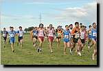 20090125CP464.jpg
