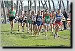 20090222CP355.jpg
