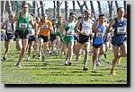 20090222CP356.jpg
