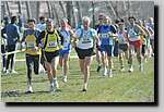 20090222CP387.jpg
