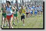 20090222CP389.jpg
