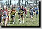 20090222CP396.jpg
