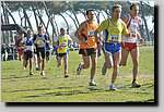 20090222CP485.jpg
