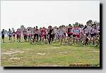 20090315CP0009.jpg
