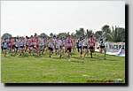 20090315CP0097.jpg
