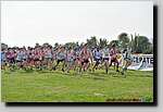 20090315CP0098.jpg
