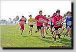 20090315CP0103.jpg
