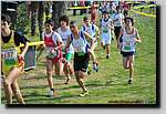 20090315CP0168.jpg
