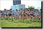 20090315CP0218.jpg
