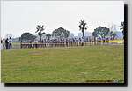 20090315CP0421.jpg
