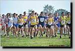 20090315CP0836.jpg

