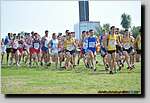 20090315CP0838.jpg
