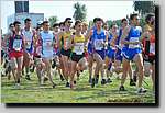 20090315CP0840.jpg
