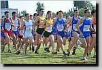 20090315CP0841.jpg
