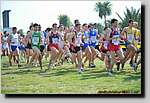 20090315CP0842.jpg

