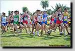 20090315CP0843.jpg
