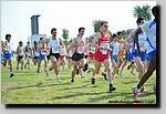 20090315CP0845.jpg
