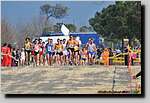 20090315CP0848.jpg
