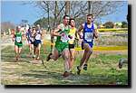 20090315CP0862.jpg
