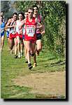 20090315CP0964.jpg
